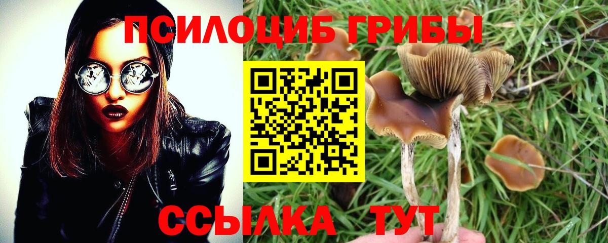 Галлюциногенные грибы прущие грибы Усть-Илимск