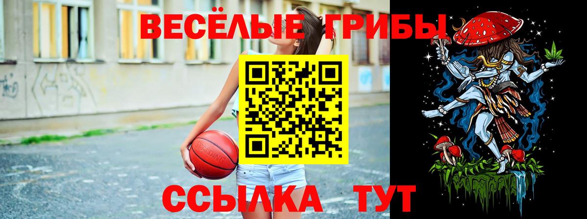 Псилоцибиновые грибы прущие грибы  Галлюциногенные грибы Psilocybine cubensis  Вход с VPN  Усть-Илимск 